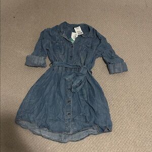 Velvet Heart Blue Button-Up Casual Dress